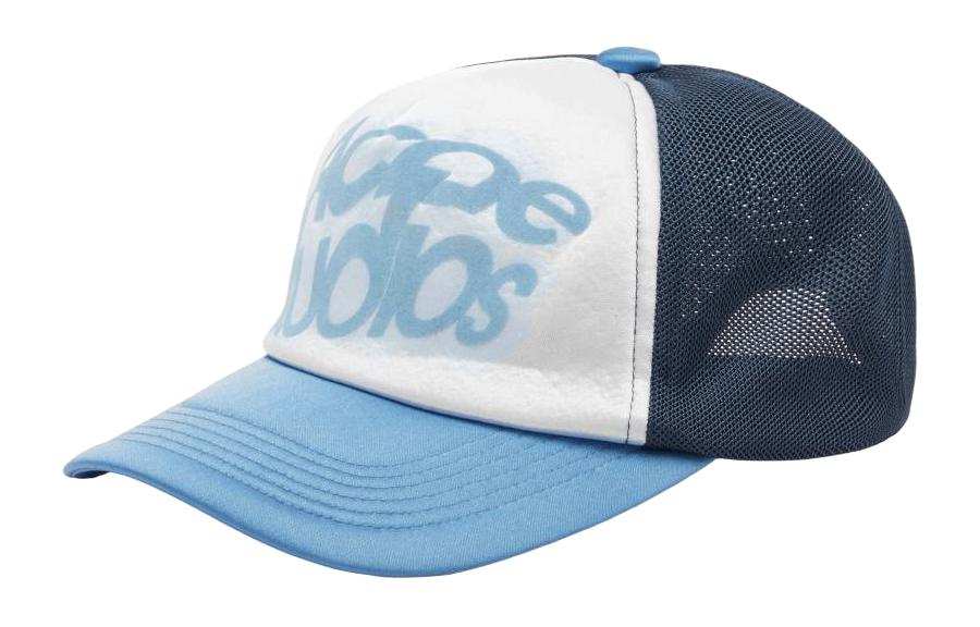 

Acne Studios Тканевая кепка с бархатным логотипом, Blue