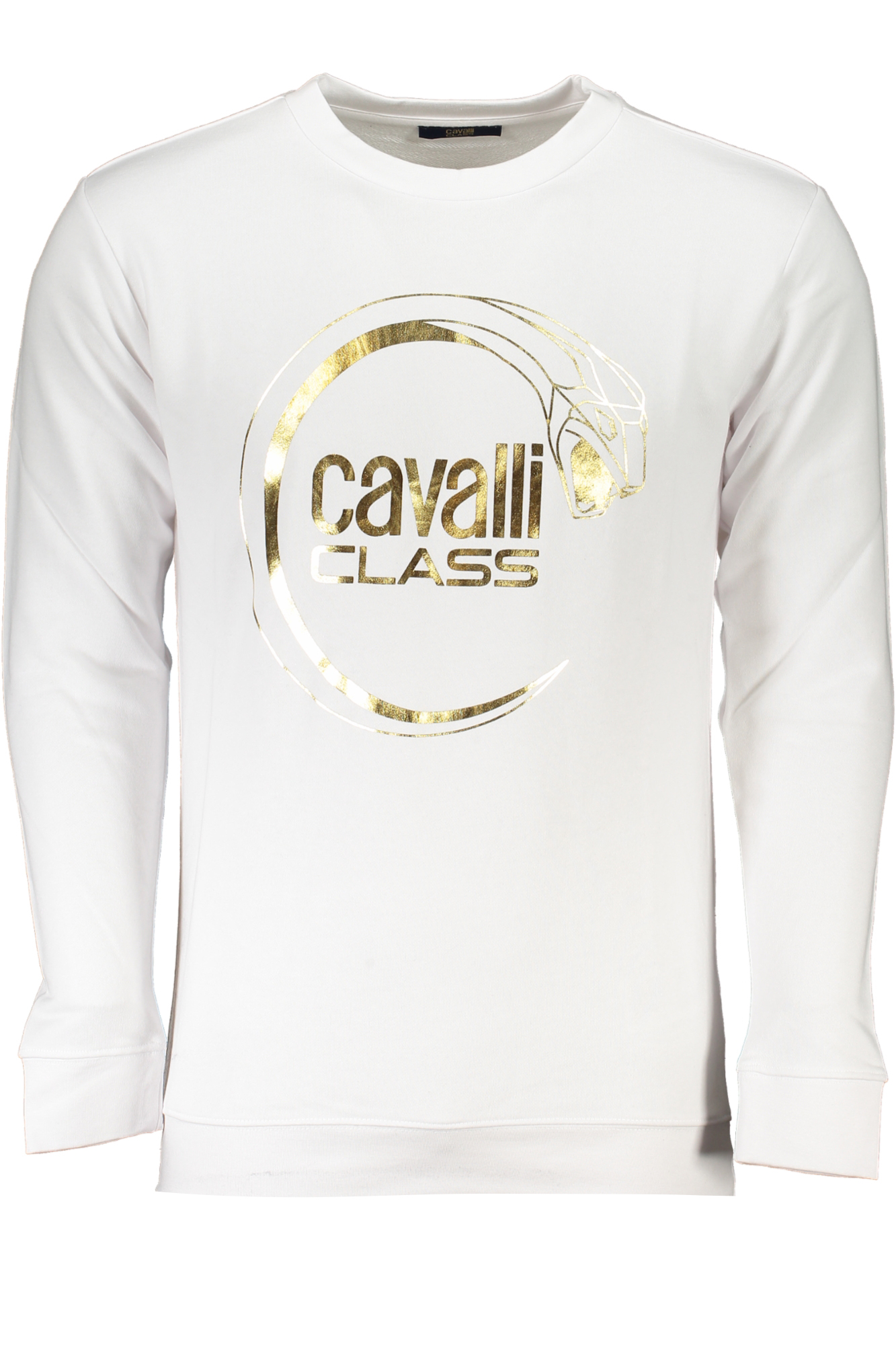 

Толстовка мужская Cavalli Class, белый / золотой