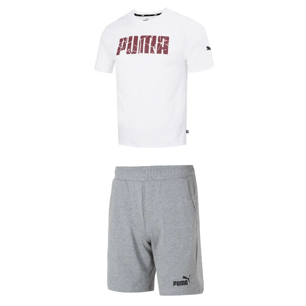 

Повседневная спортивная одежда для мужчин Белый/серый Puma, белый/серый