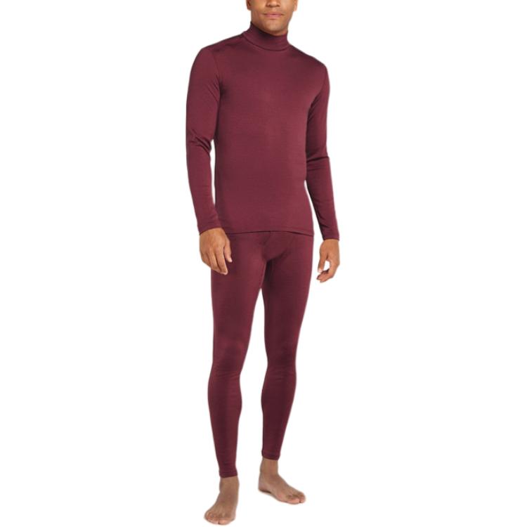 

Обычная футболка женская ICEBREAKER, бордовый коричневый