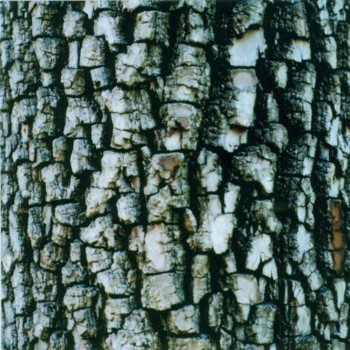 

CD диск Ativin: Interiors