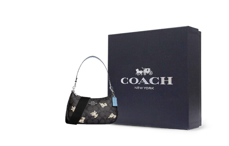 Сумка на плечо Coach Женское Teri