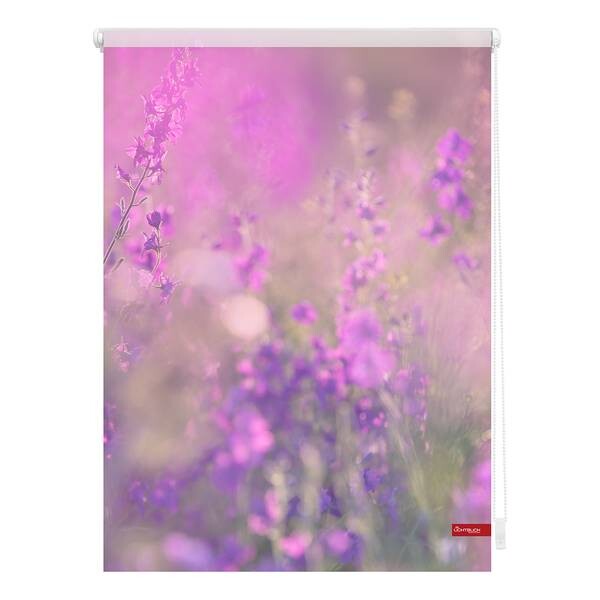 

Рулонные шторы Lichtblick Blumenwiese, 80x150x6 см цвет fuchsia/violett