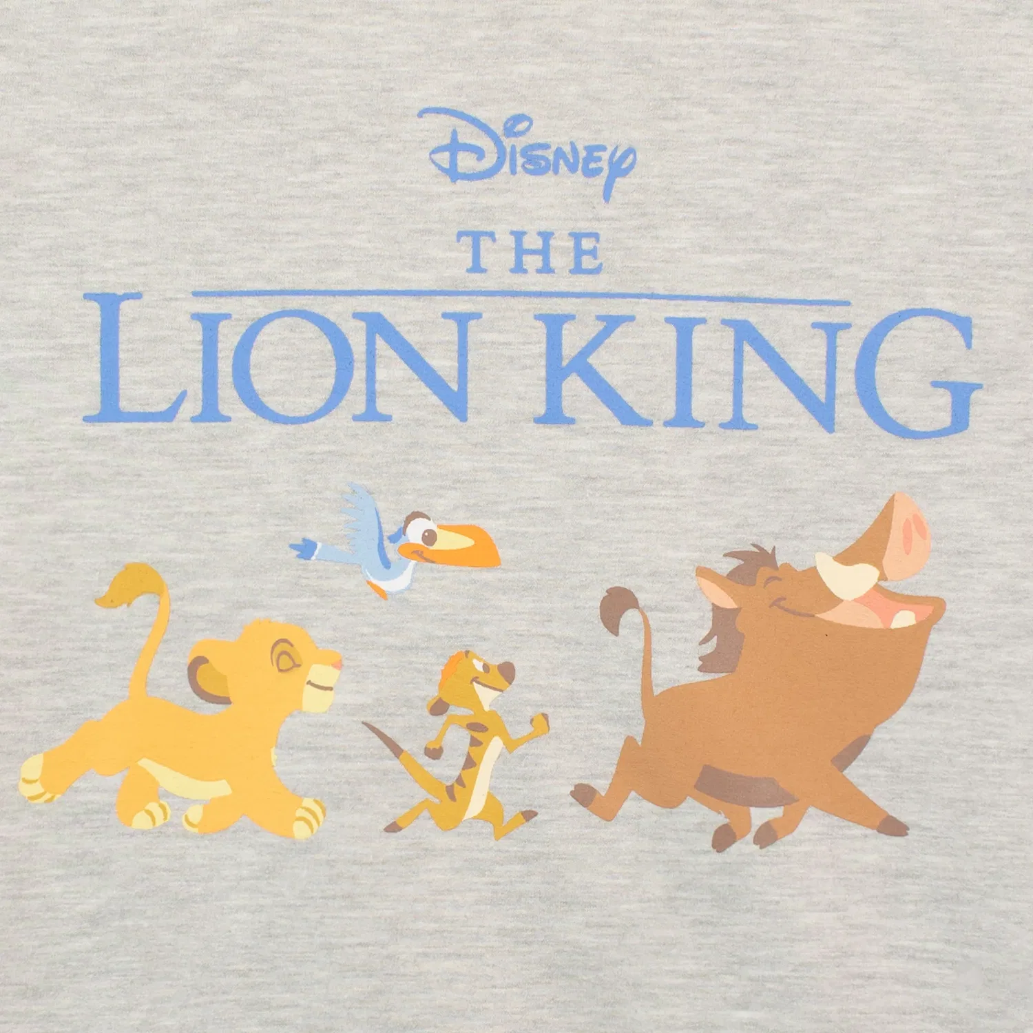Свитшот детский Lion King Disney, мультиколор — фото 2