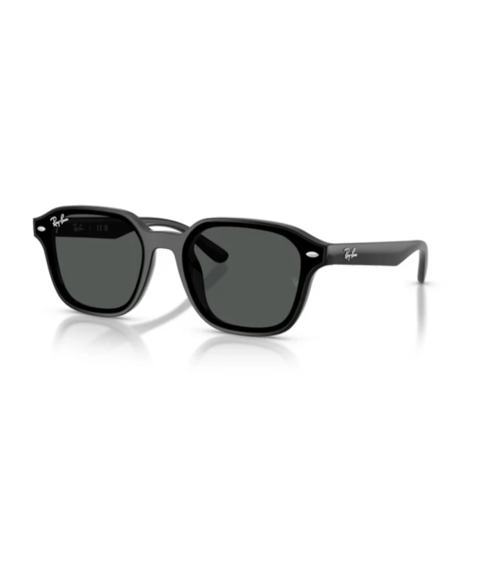 

Классические черные солнцезащитные очки Ray-Ban, черный
