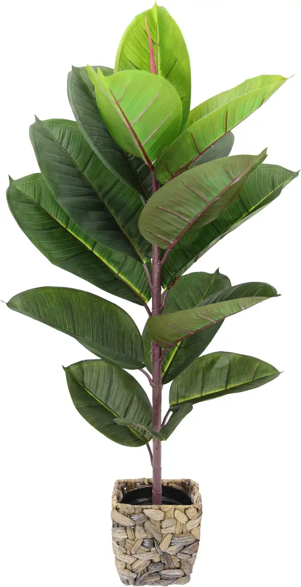 

И.ГЕ.А. Искусственное дерево "каучуковое дерево" с кашпо Ficus Elastica I.GE.A. 40х84х40 см, зеленый