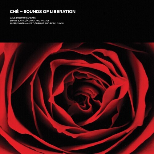

CD диск Che: Sounds Of Liberation