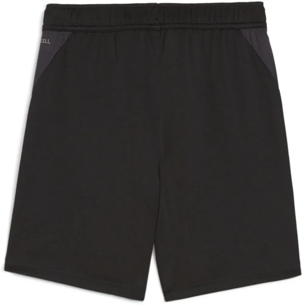 Спортивные шорты TeamGoal Training Short Jr, Puma, черный — фото 2
