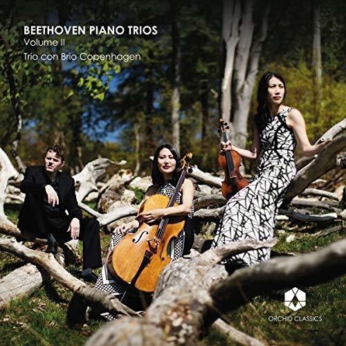 

CD диск Beethoven / Trio Con Brio Copenhagen: Piano Trios 2