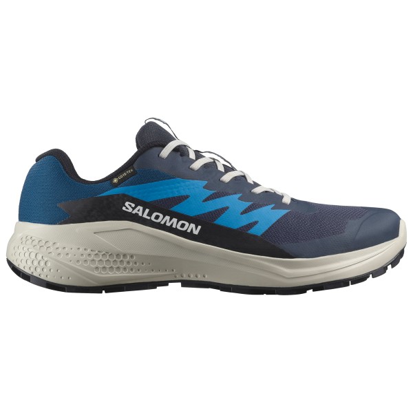 

Alphaglide gore-tex - кроссовки для бега по пересеченной местности Salomon, мультиколор