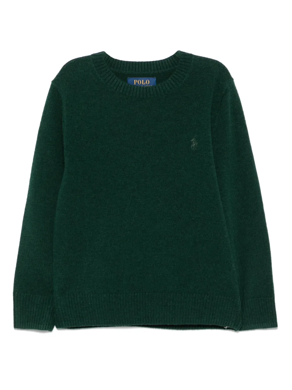 

Свитер с вышивкой Polo Pony POLO RALPH LAUREN KIDS, зеленый