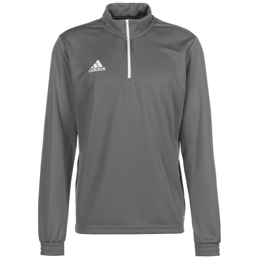 

Спортивная толстовка Adidas ENTRADA 22, серый