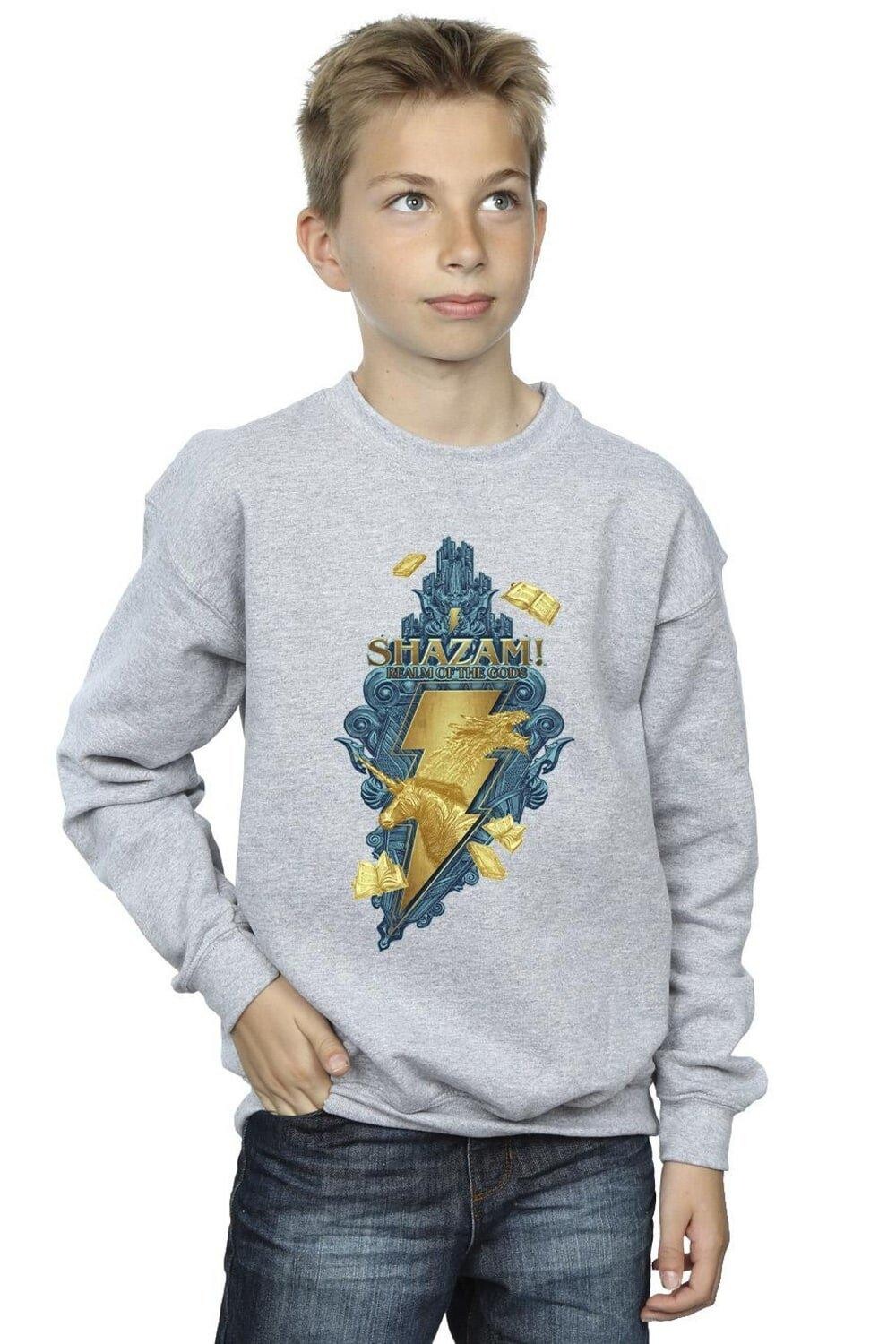 

Толстовка Shazam Fury Of The Gods Golden Animal Bolt DC Comics, серый