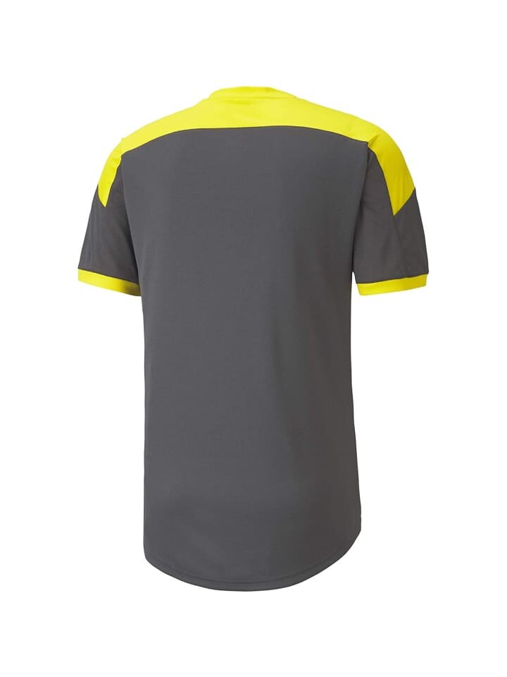 

Брюки для тренировок и бега Puma BVB Borussia Dortmund Trikot 2020-2021, черный