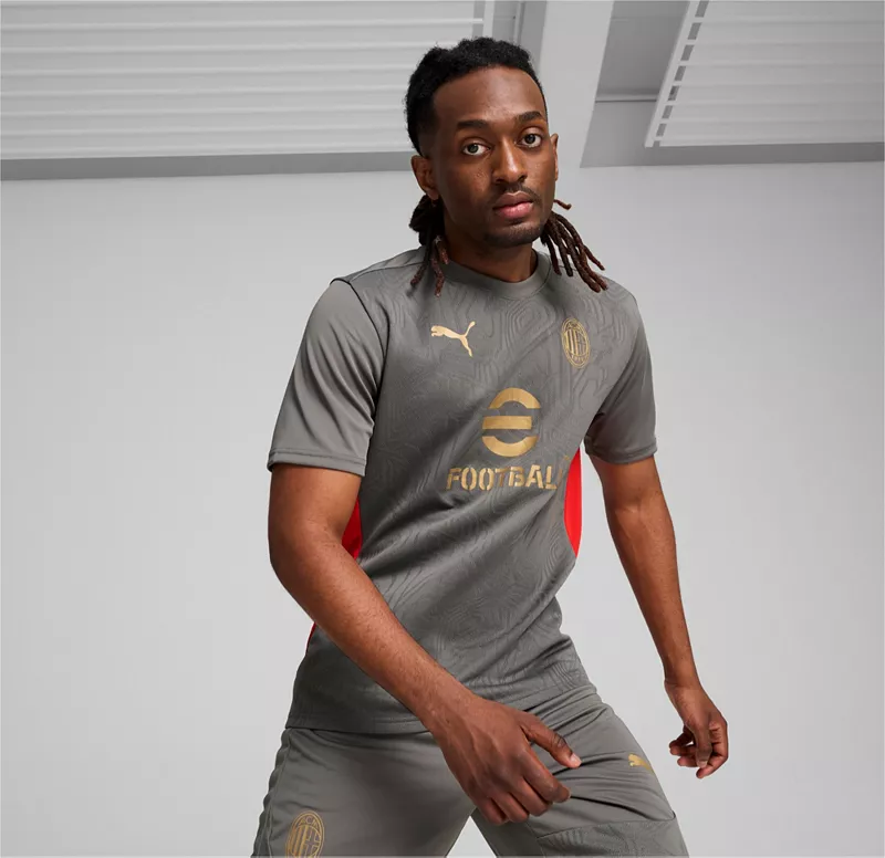 

Серая тренировочная майка PUMA для взрослые AC Milan 2024