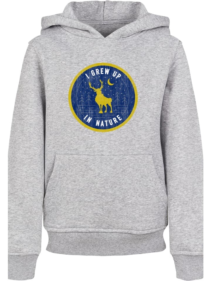 

Пуловер с капюшоном F4NT4STIC, цвет heather grey, Серый, Пуловер с капюшоном F4NT4STIC, цвет heather grey