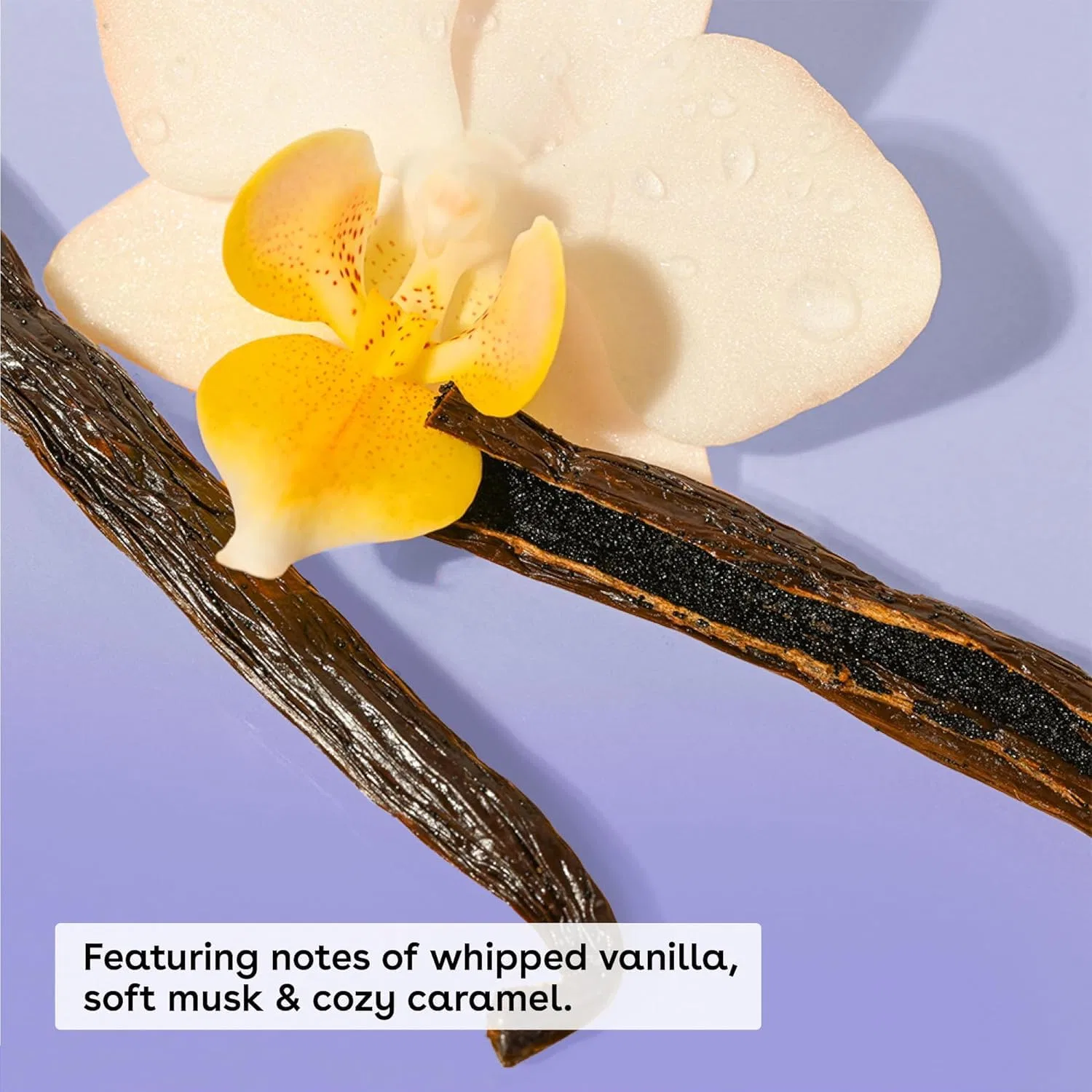 Набор для ухода за кожей с лосьоном и гелем для душа «Vanilla Cashmere» от E.O.S. Luxpaks — фото 2