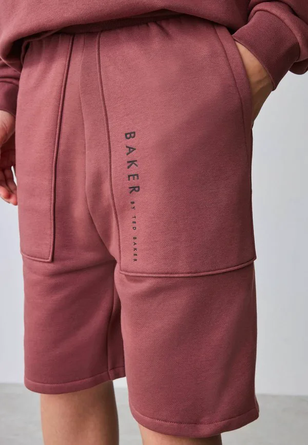 Худи стандартного кроя Baker By Ted Baker, Mauve Purple