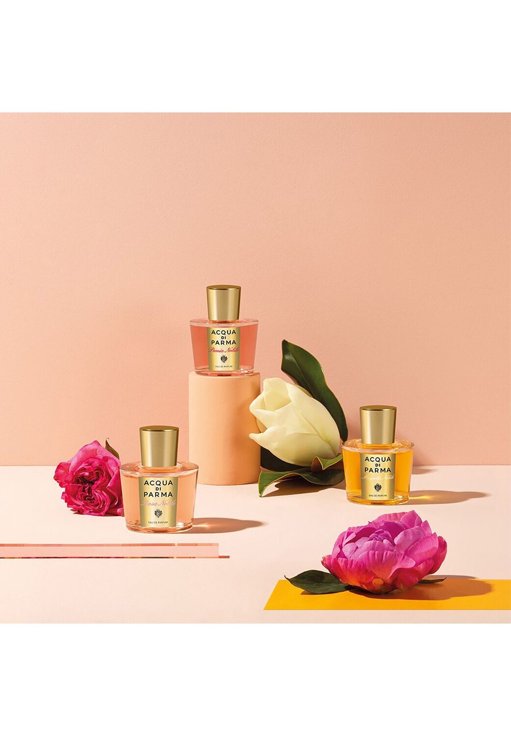 Роза Нобиле, парфюмированная вода 50ml ACQUA DI PARMA — фото 4