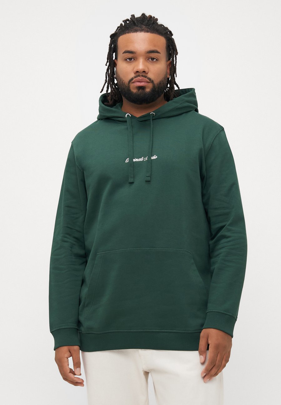 

Худи Jack & Jones JORNORREBRO , Sycamore/Dark Green, Зеленый, Худи Jack & Jones JORNORREBRO , Sycamore/Dark Green