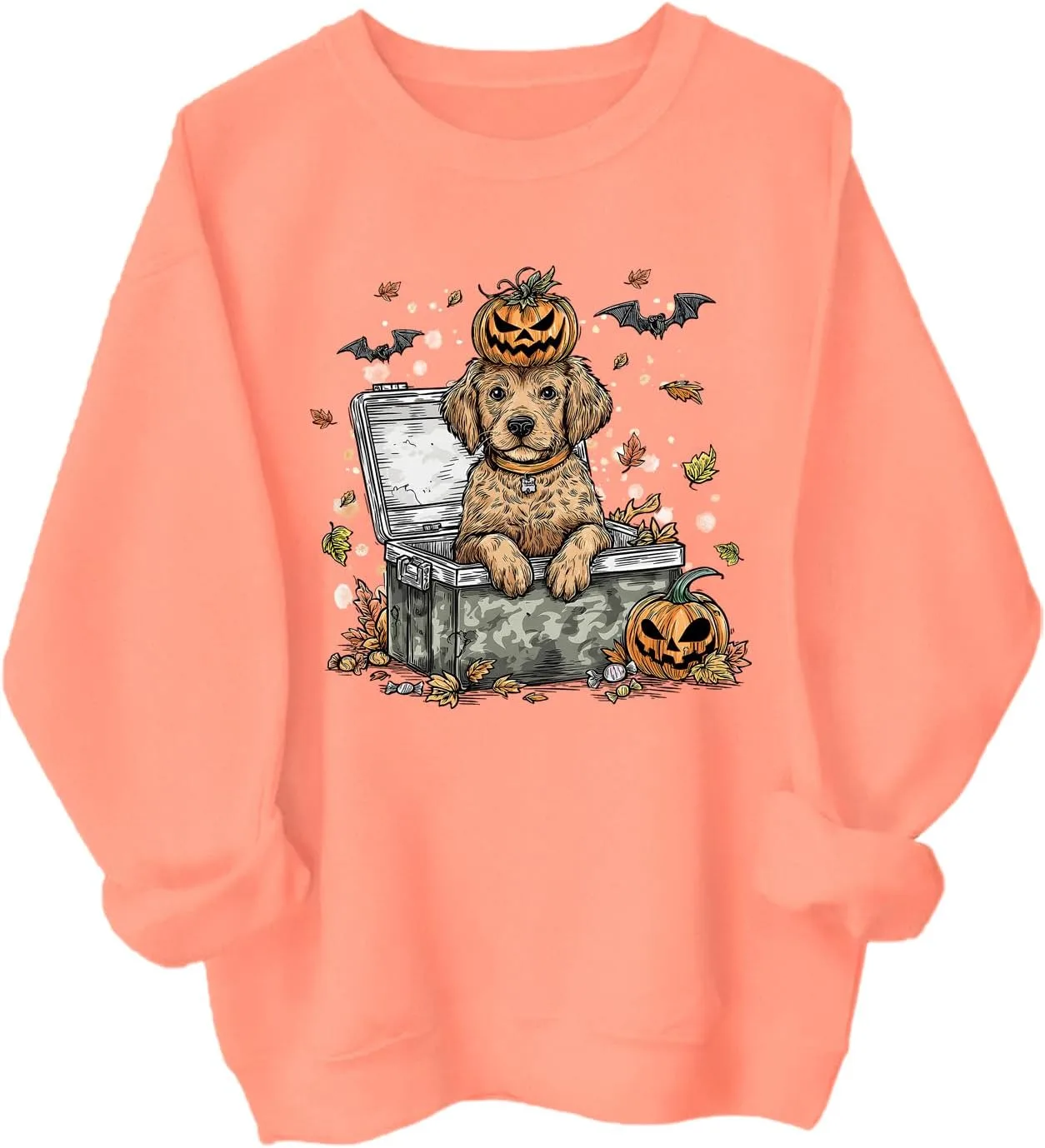 

Браун Лаб Хэллоуин худи