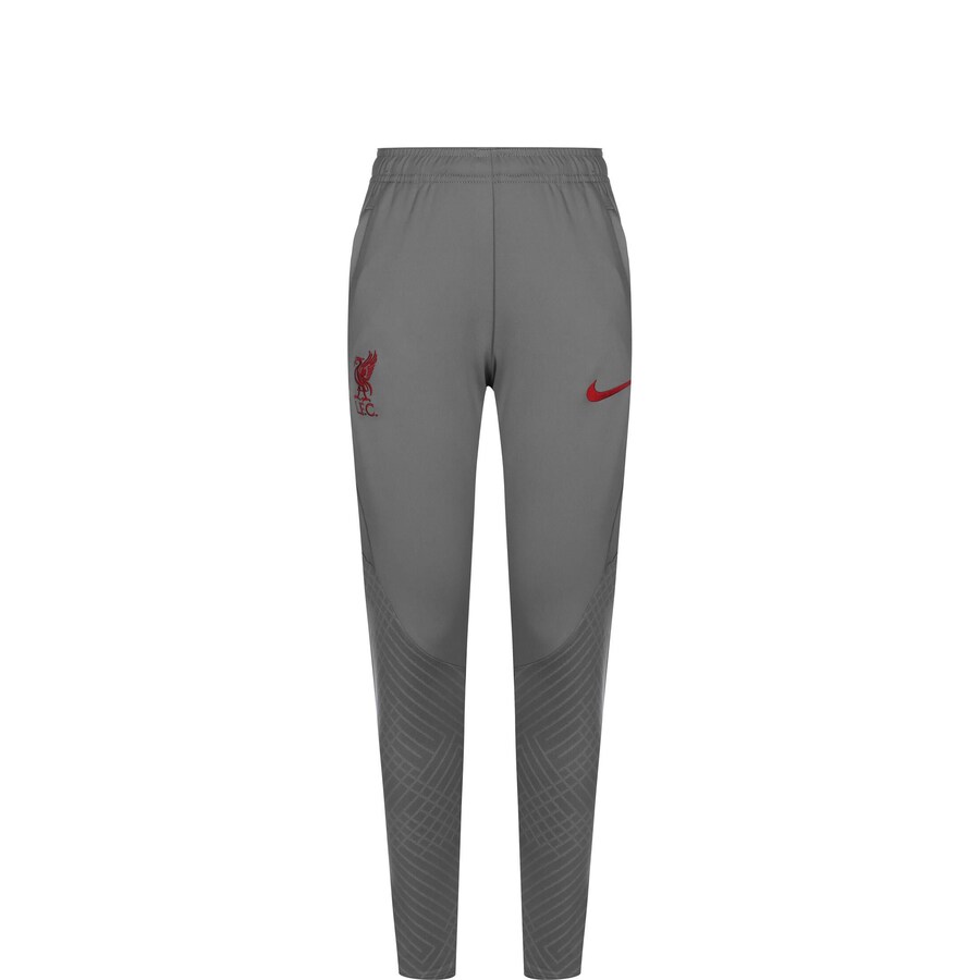 

Зауженные спортивные брюки NIKE Liverpool, темно-серый