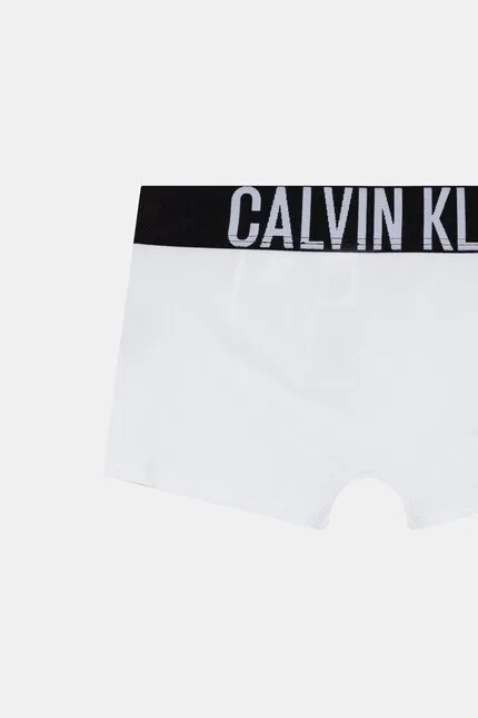 Боксеры детские 2 шт Calvin Klein Underwear, белый — фото 4