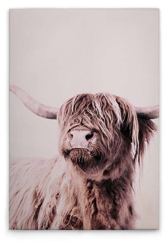

Картина на холсте A.S. Création Highland Cattle 1 цвет cremebeige