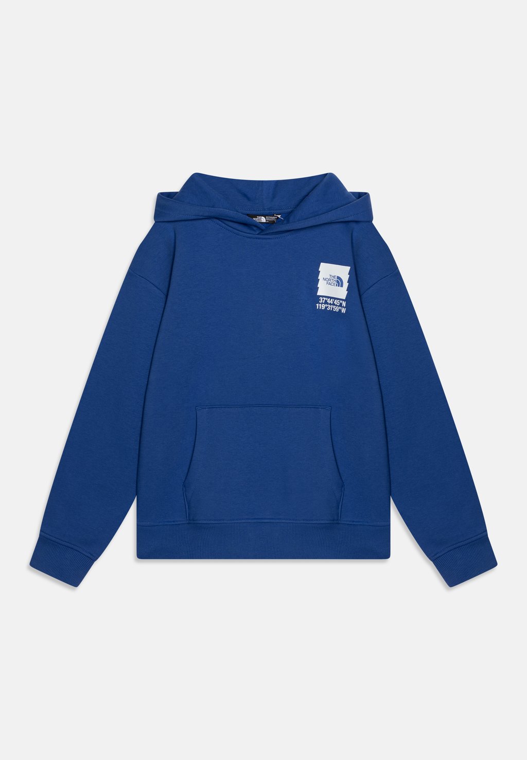 

Толстовка с капюшоном COORDINATES GRAPHIC OVERSIZED HOODIE UNISEX The North Face, синий