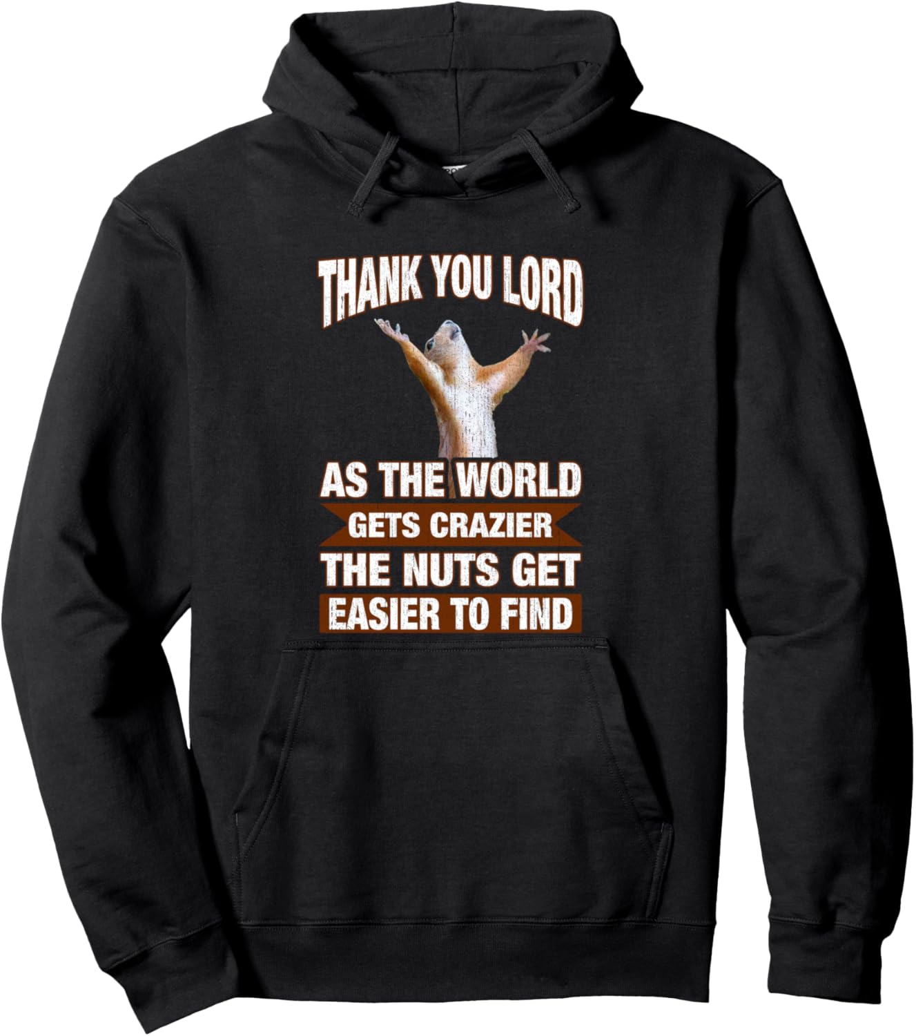 

Спасибо, Господи, пока мир сходит с ума. Худи «Nuts Hard To Find» (Трудно найти) Humor Squirrel Thank You Lord Quote, черный