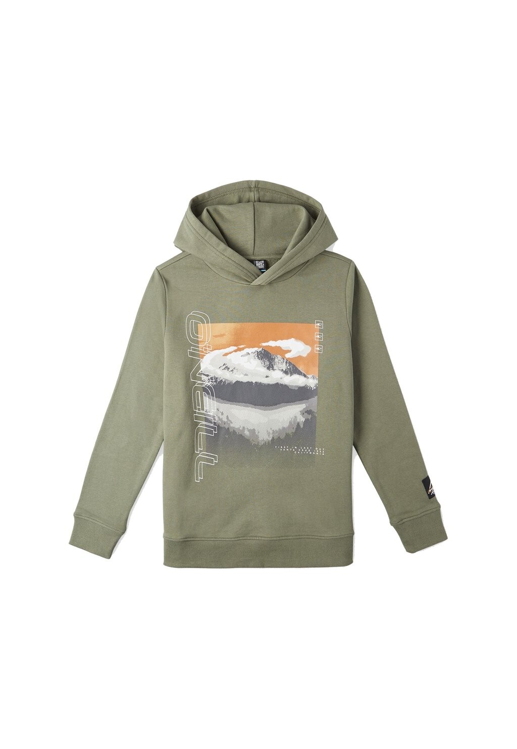 

Толстовка SEAVIEW O'Neill, цвет deep lichen green