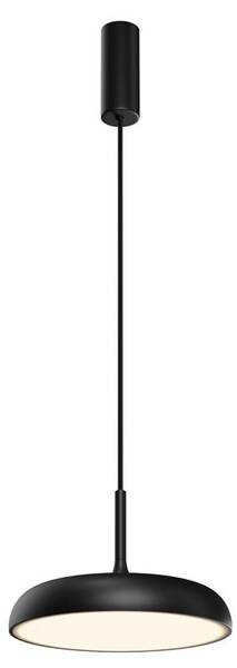 

19803476
