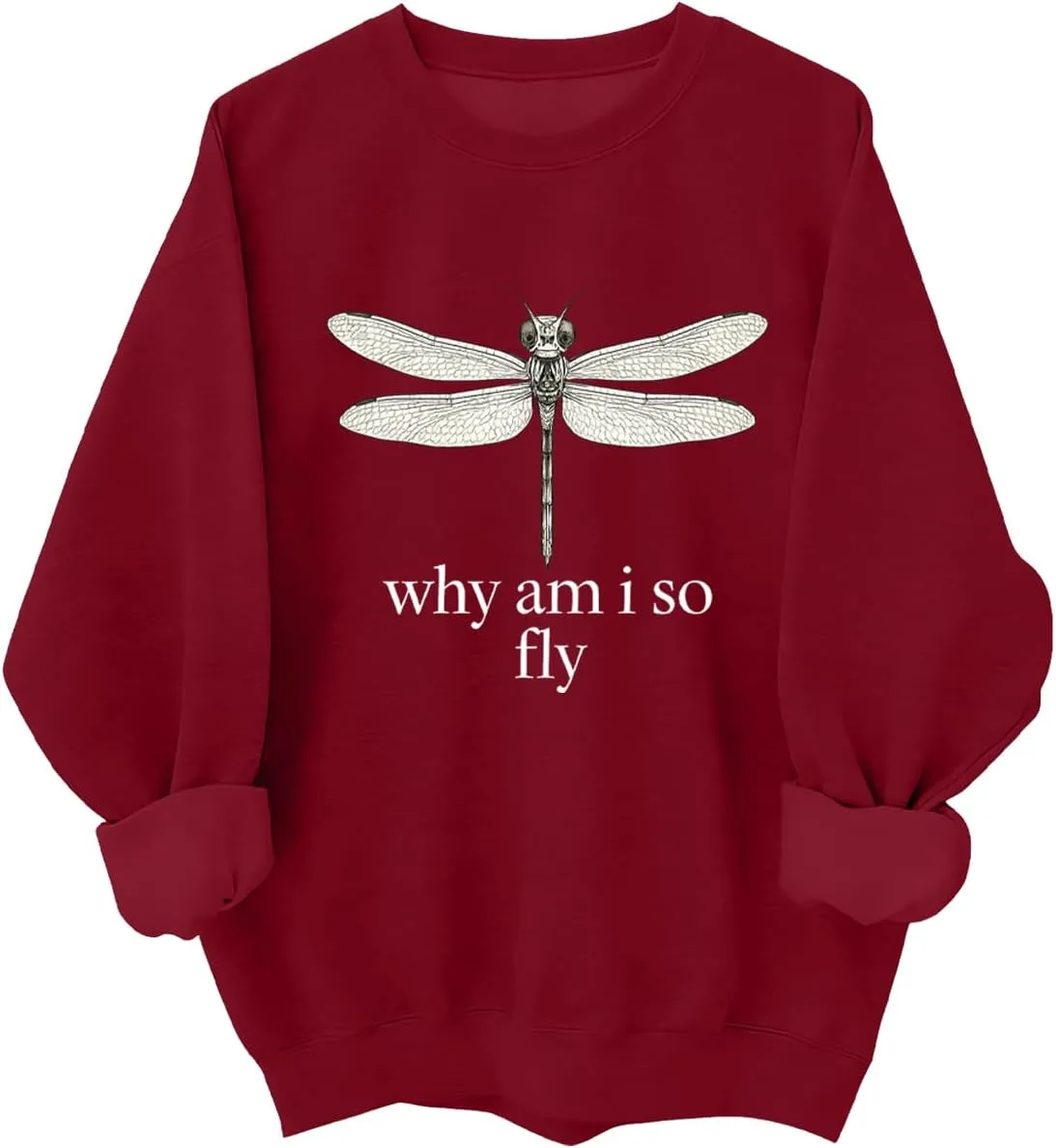 

Толстовка с принтом "Why Am I So Fly Dragonfly" Kzggs