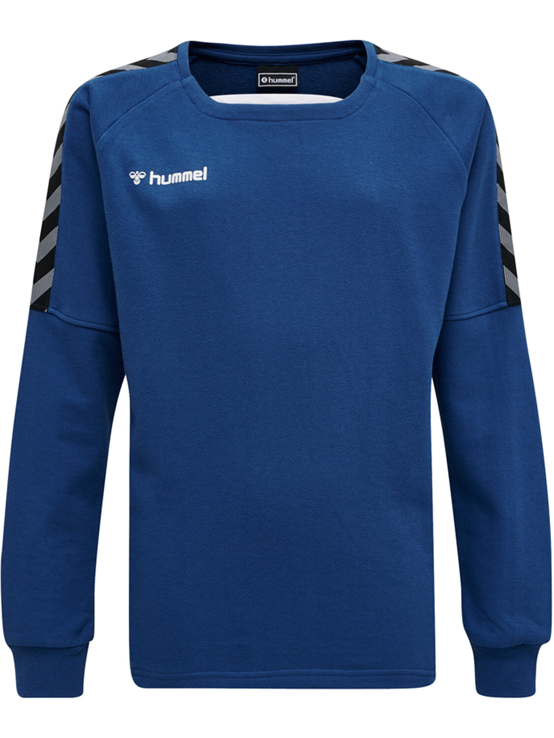 

Толстовка Hummel Hmlauthentic Kids Training Sweat, цвет TRUE BLUE
