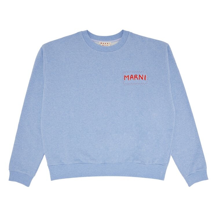 

Толстовка Marni Dripping Flower Loopback Jersey Sweatshirt, светло-синий