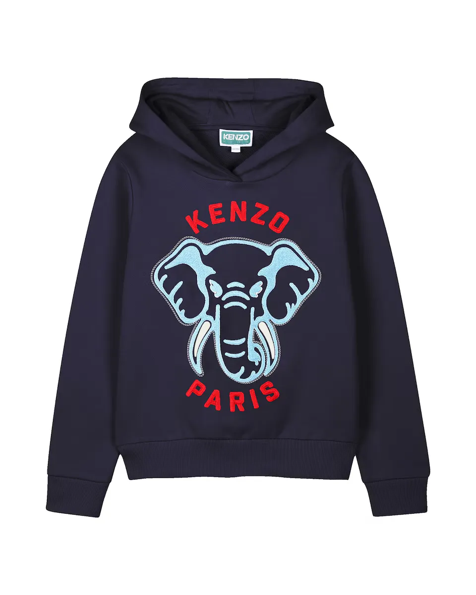 

Толстовка для мальчиков с вышивкой спереди Kenzo Kids, бирюзовый