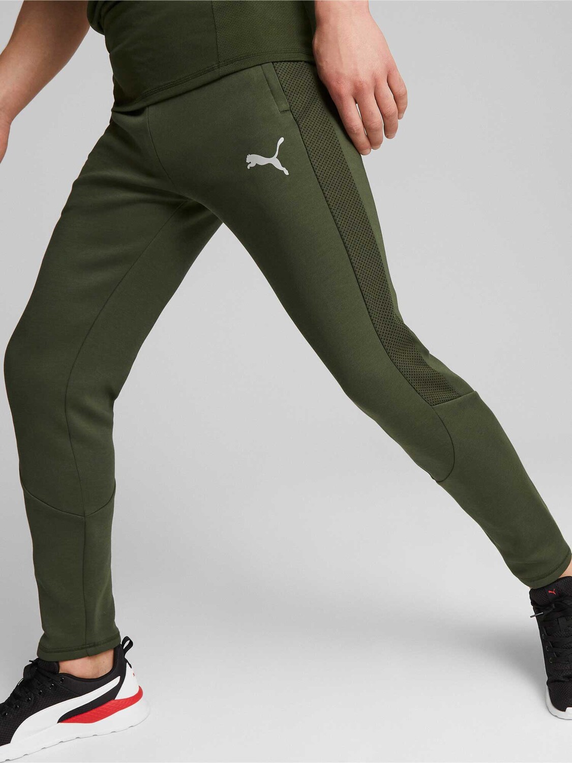 

Спортивные брюки Puma EVOSTRIPE Pants DK, зеленый