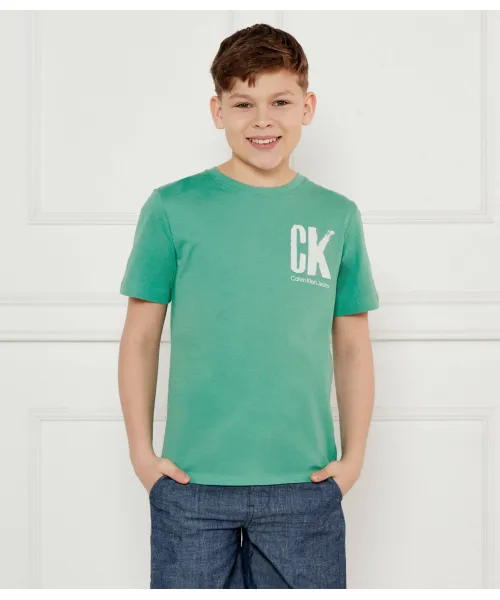 

Футболка Regular fit Calvin Klein Jeans, зеленый