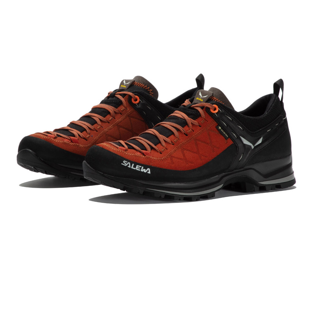

Кроссовки Salewa Mountain Trainer 2 GORE-TEX, коричневый