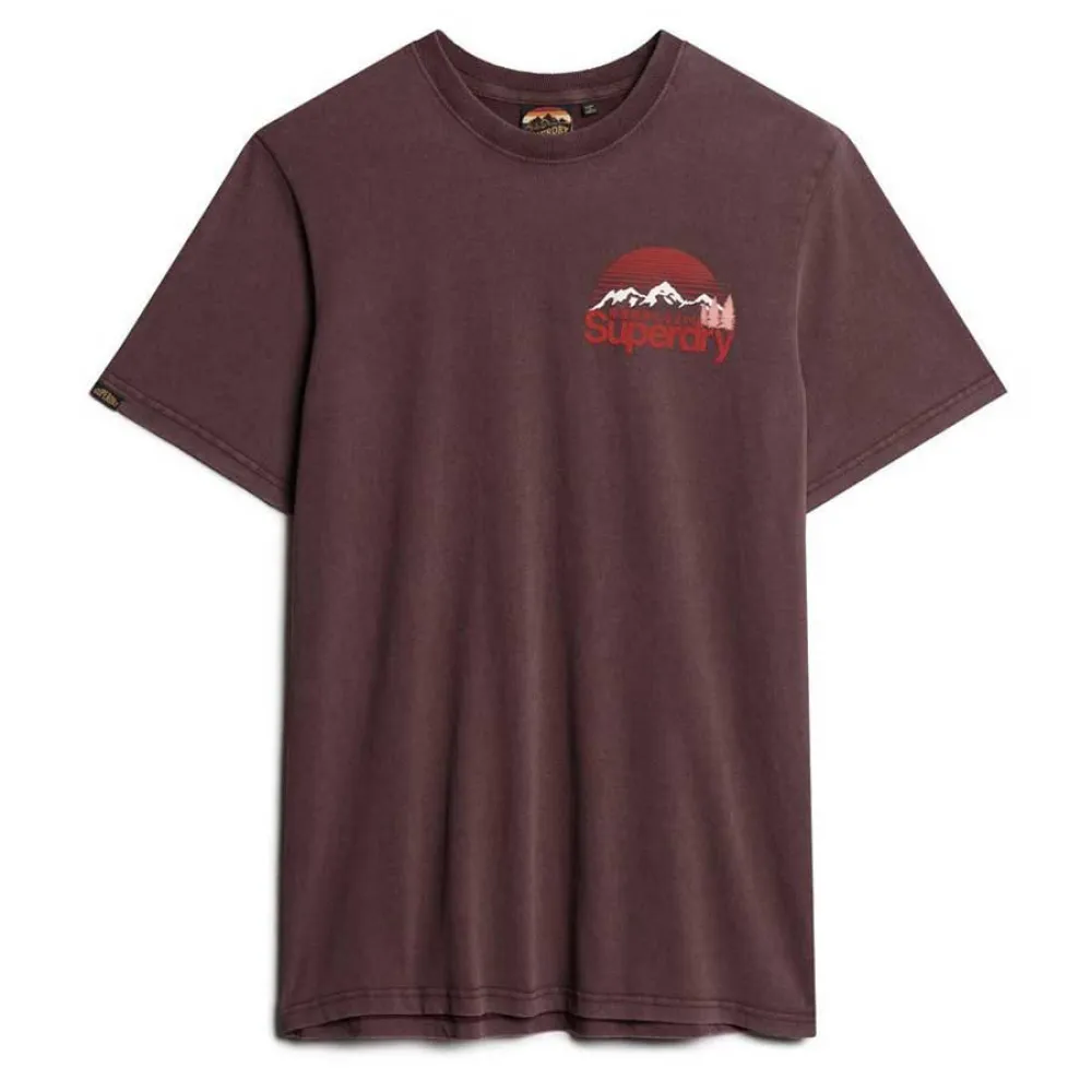

Футболка Superdry Great Outdoor Chest Graphc, коричневый
