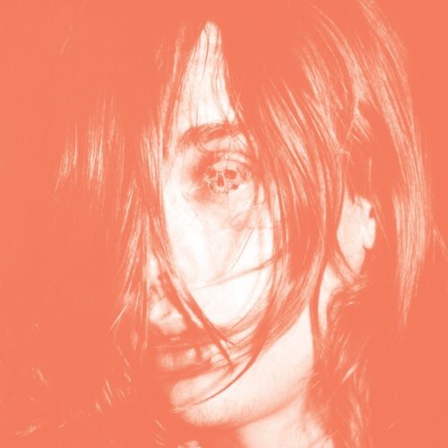 

Виниловая пластинка Deerhunter: Microcastle