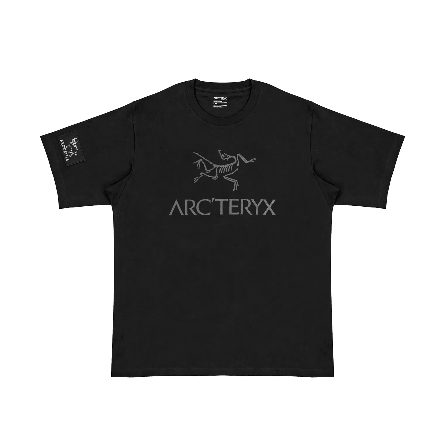 Футболка с логотипом Arcteryx IONIA Men's Black