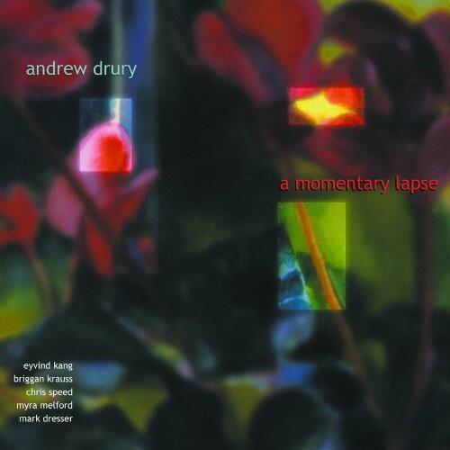 

CD диск Drury, Andrew: Momentary Lapse