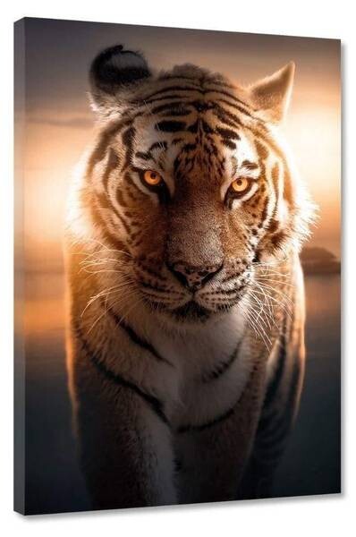 

Картина на холсте Hustling Sharks Majestic Tiger, оранжевый