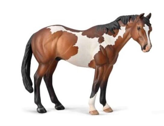 

Ollecta Мази Appaloosa Stallion Bay Overo Collecta