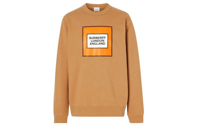 

Толстовка мужская орехового цвета Burberry, цвет Nut color