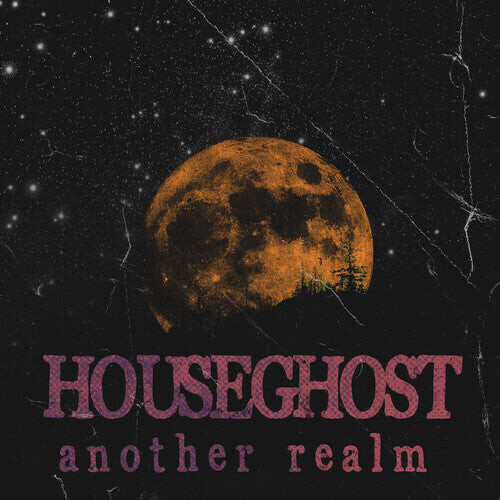 

Виниловая пластинка Houseghost: Another Realm