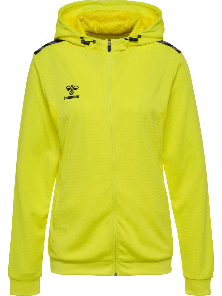 

Спортивная толстовка с капюшоном на молнии Hummel AUTHENTIC PL, желтый
