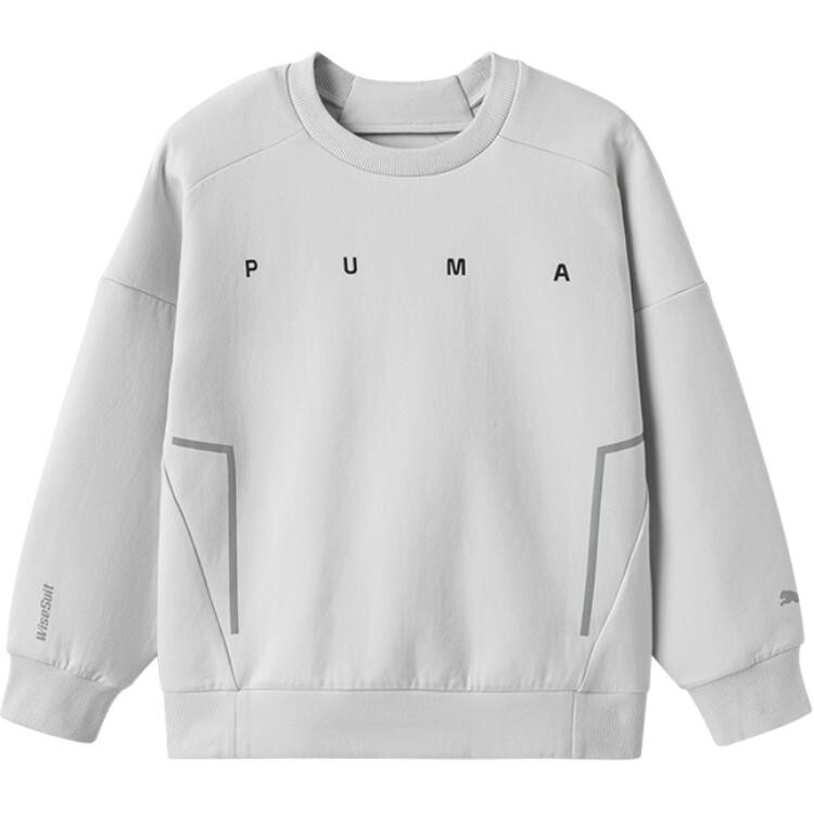 

Толстовка GS Puma, светло-серый