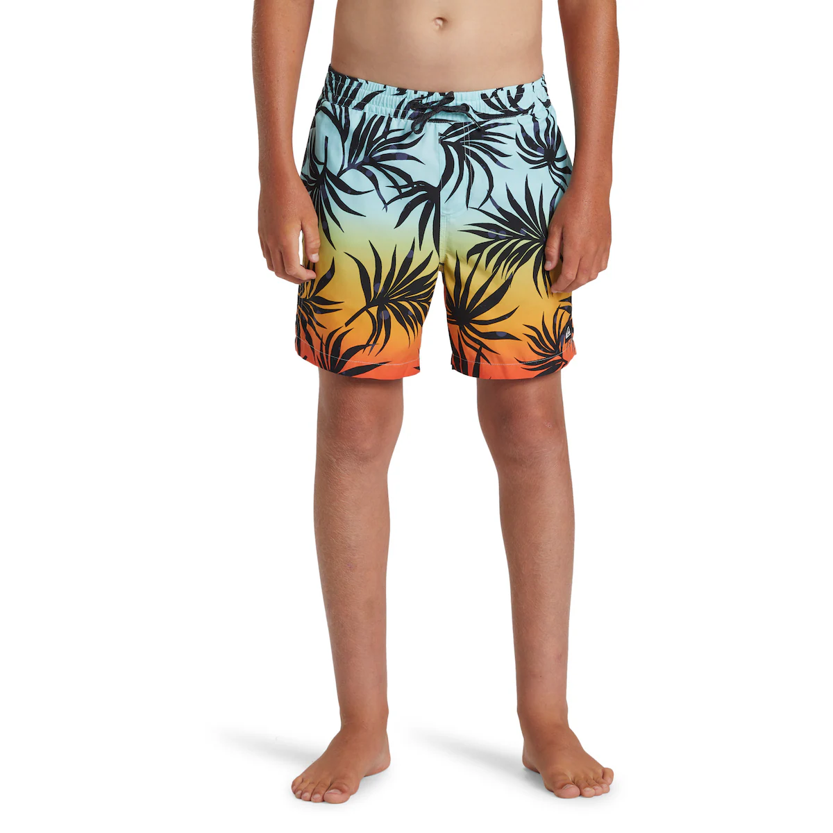 

Everyday Mix Volley Quiksilver детский купальник, многоцветный